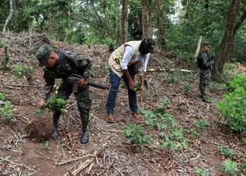 Como parte de las acciones emprendidas por la Fuerza de Tarea Interinstitucional Ambiental, para combatir los delitos ambientales, este día se llevó a cabo un operativo de inspección de seguimiento de tala y roza en la zona de recarga hídrica del sector Neblinas, así como el desmantelamiento de fincas de café a causa del cambio de uso de suelo en áreas no permitidas en la comunidad de San Antonio de Perú, zona de El Merendón.