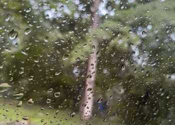 Tegucigalpa. El Centro Nacional de Estudios Atmosféricos, Oceanográficos y Sísmicos (Cenaos) ha emitido un pronóstico que indica un clima marcado por lluvias y un descenso en las temperaturas en varias regiones de Honduras este sábado.