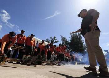 Cientos de personas se sumaron este viernes en Honduras, en el 'Día D', a la lucha contra el zancudo transmisor del dengue, enfermedad que ha dejado al menos 137 muertos y más de 109.000 casos registrados en lo que va de 2024 en el país centroamericano.