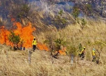 Tegucigalpa-. El experto en mitigación de desastres, Julio Quiñónez informó este lunes que el Distrito Central se encuentra bajo alerta amarilla debido a la intensificación de incendios forestales que han afectado diversas zonas de reserva.