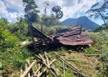 San Pedro Sula-. El Ministerio Público a través de la Fiscalía Especial del Medio Ambiente (FEMA) de la Regional del Norte, llevó a cabo la intervención y recuperación de varias hectáreas en la zona núcleo del Parque Nacional Cerro Azul Meámbar (PANACAM), ubicado en Santa Cruz de Yojoa, Cortés.