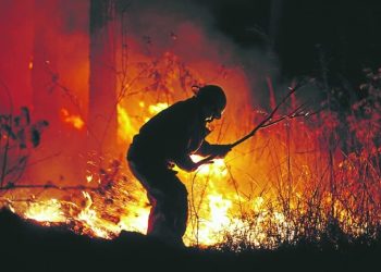 Tegucigalpa-. El director del Instituto de Conservación Forestal (ICF), Luis Soliz, informó este martes que el pasado fin de semana fue especialmente crítico en cuanto a incendios forestales en el país, con una mayor concentración de casos en el Distrito Central.