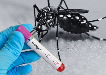 Tegucigalpa-. Autoridades sanitarias de Comayagua, advierten de un incremento sostenido en los casos de dengue, alcanzando un promedio de 10 contagios por semana, debido a la temporada lluviosa.