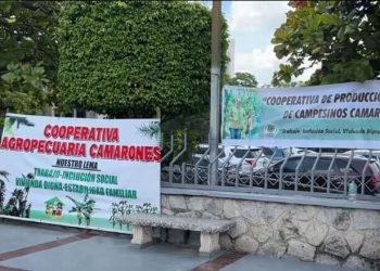 Tegucigalpa – Miembros de la Plataforma Agraria realizaron este miércoles un plantón frente a la Corte Suprema de Justicia (CSJ) para demandar la pronta ejecución de la orden de desalojo contra el grupo criminal conocido como “Los Cachos”.
