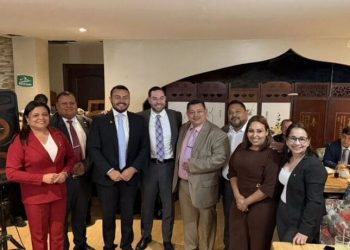 diputados suplentes