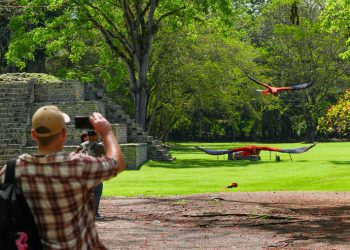 Tegucigalpa.- Copán Ruinas se prepara para vivir una de sus celebraciones más emblemáticas. Del 26 al 28 de junio, el Guacamaya Fest conmemorará su décima edición, reuniendo a visitantes nacionales e internacionales en torno a una historia que combina conservación ambiental, identidad cultural y turismo sostenible.